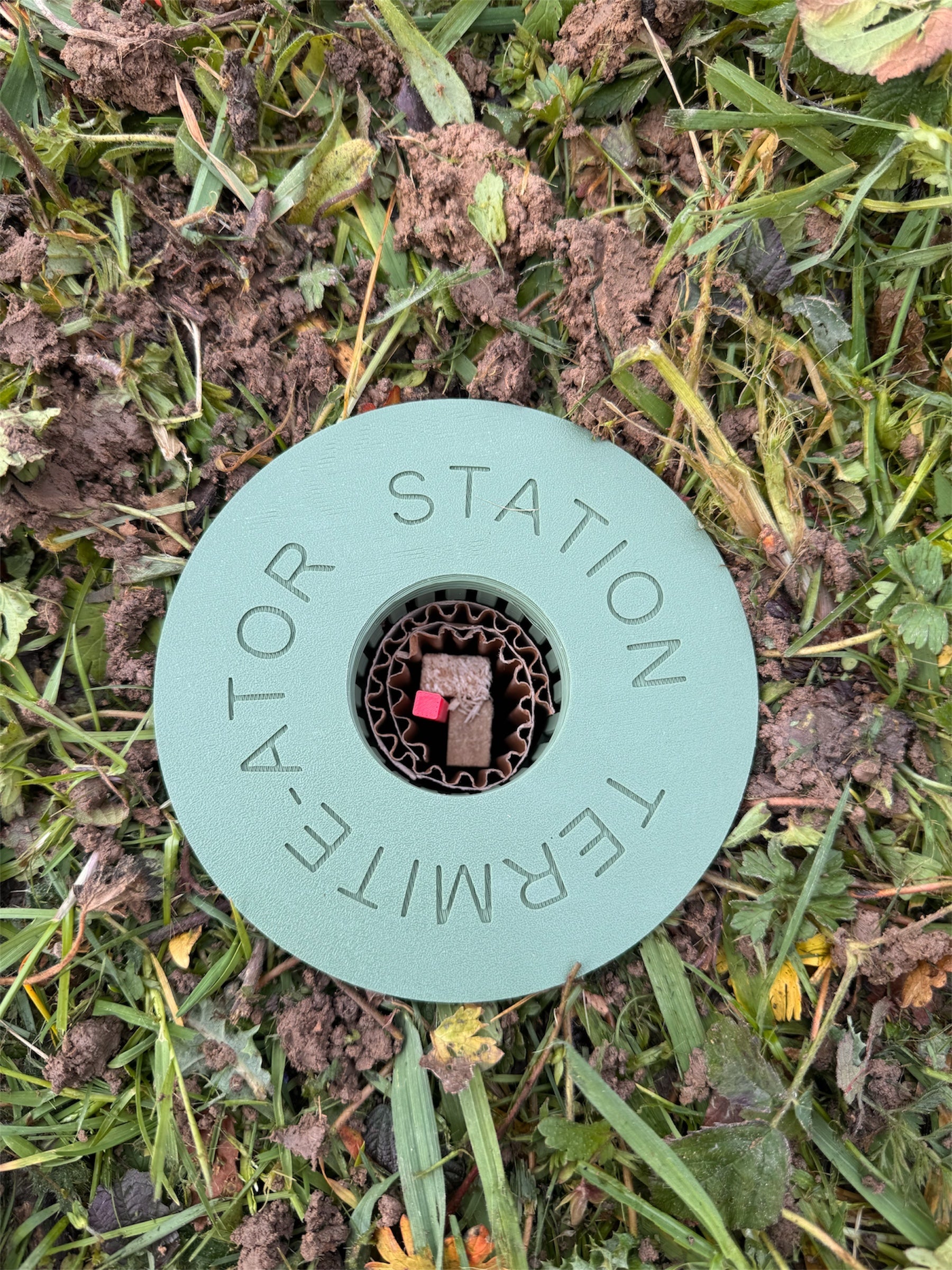 piège au sol pelouse