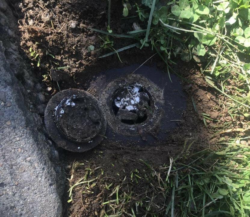 Termite Piège Termites Système de Détection x 1 - Pièges Termites