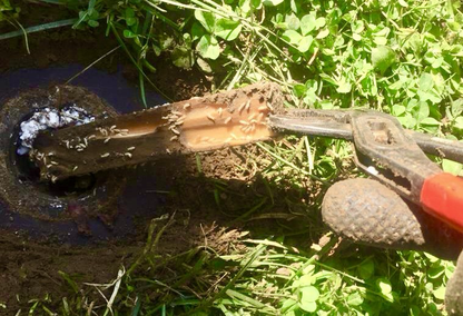 10 Pièges de Détection Surveillance Termites + 750grs de pâte Hexaflumeron