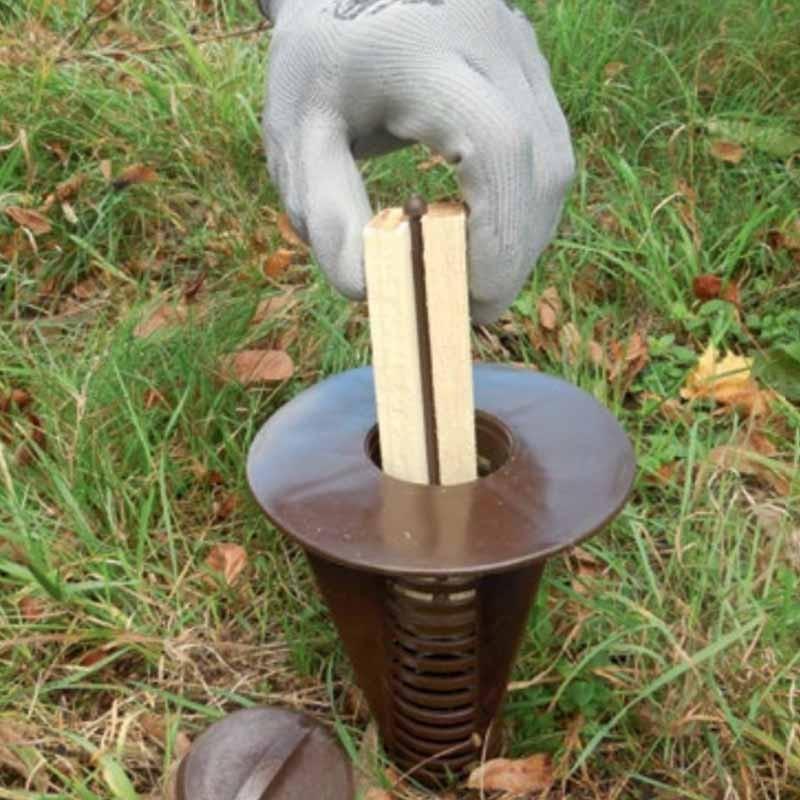Termite detection traps – Box of 20 units + wood bait – Pièges Termites
